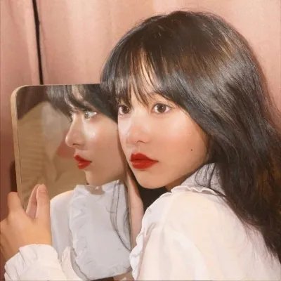 燕子盗